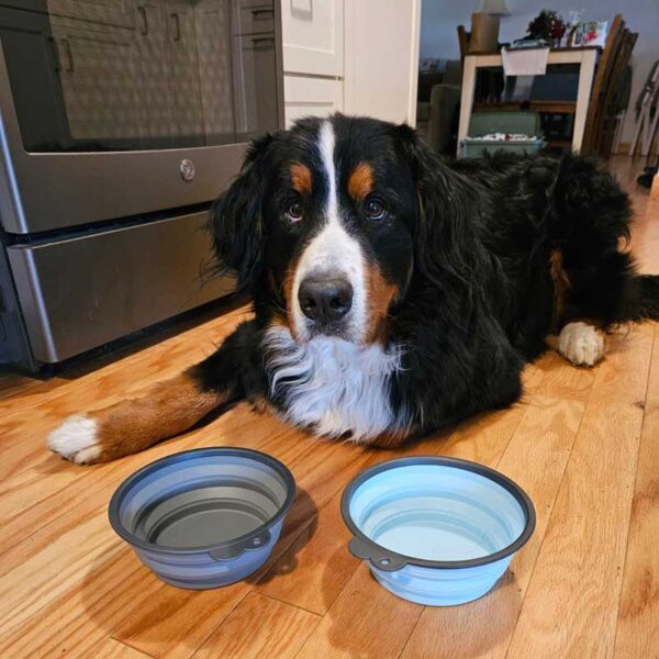 Custom-Collapsible-Silicone-Dog-Bowls